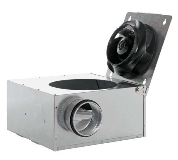 Foto_WEB_ca_il_02_16250-600x537