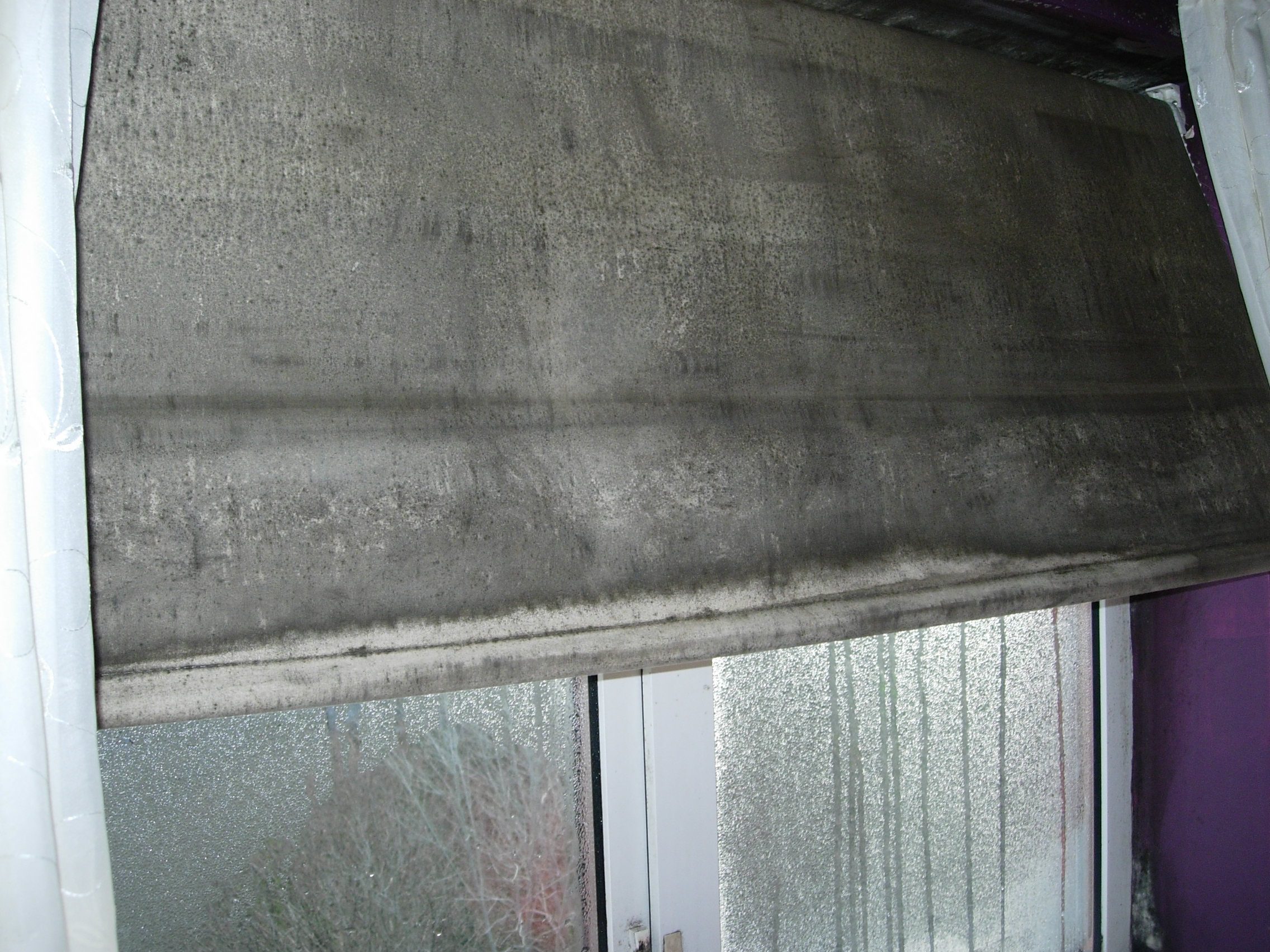 4 Navigation Close - mould growth on tenants blinds