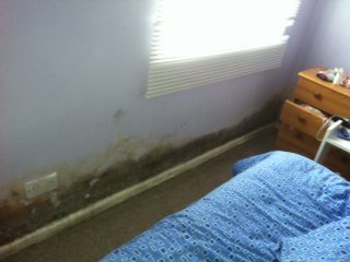 5 Turlin Rd - mould growth in front bedroom (1)