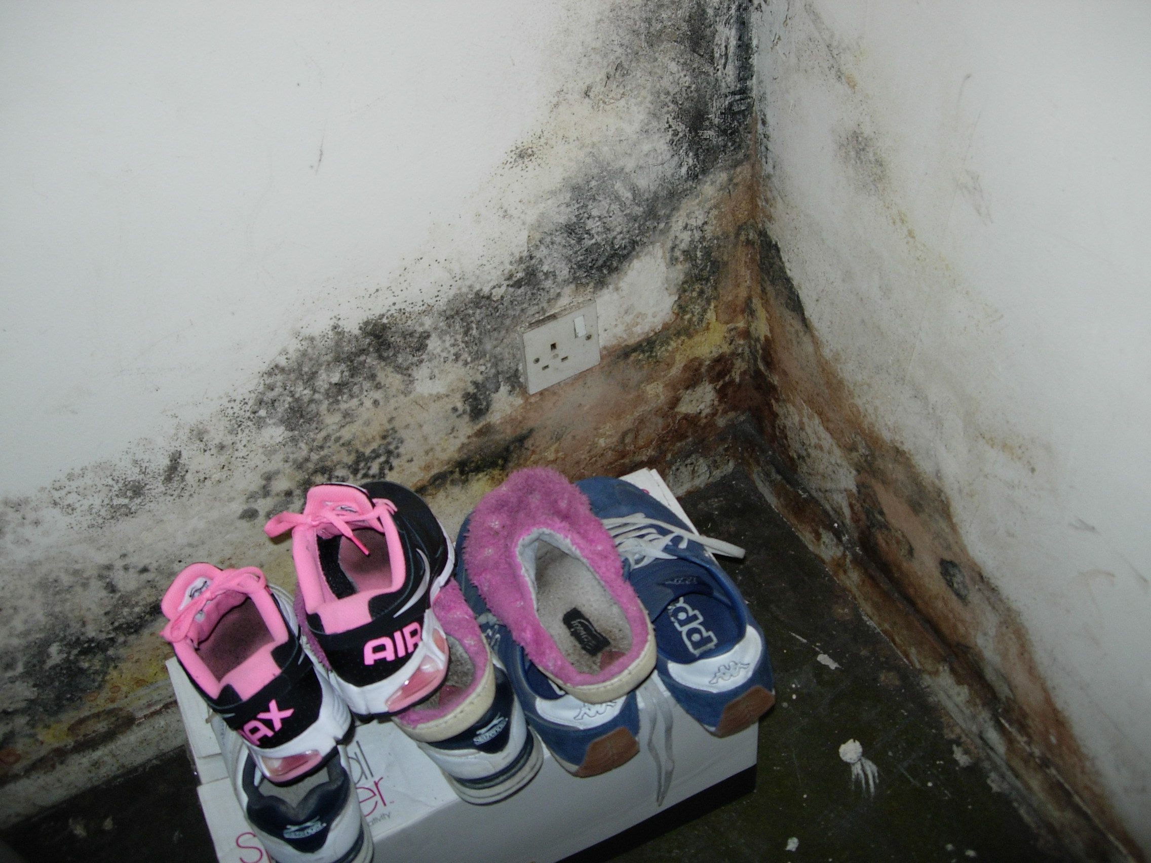 9a Morgan St - mould growth in main bedrom (1)